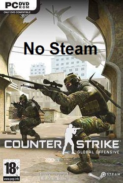 CS: GO No Steam