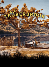 Truberbrook RePack (RUS) со всеми DLC